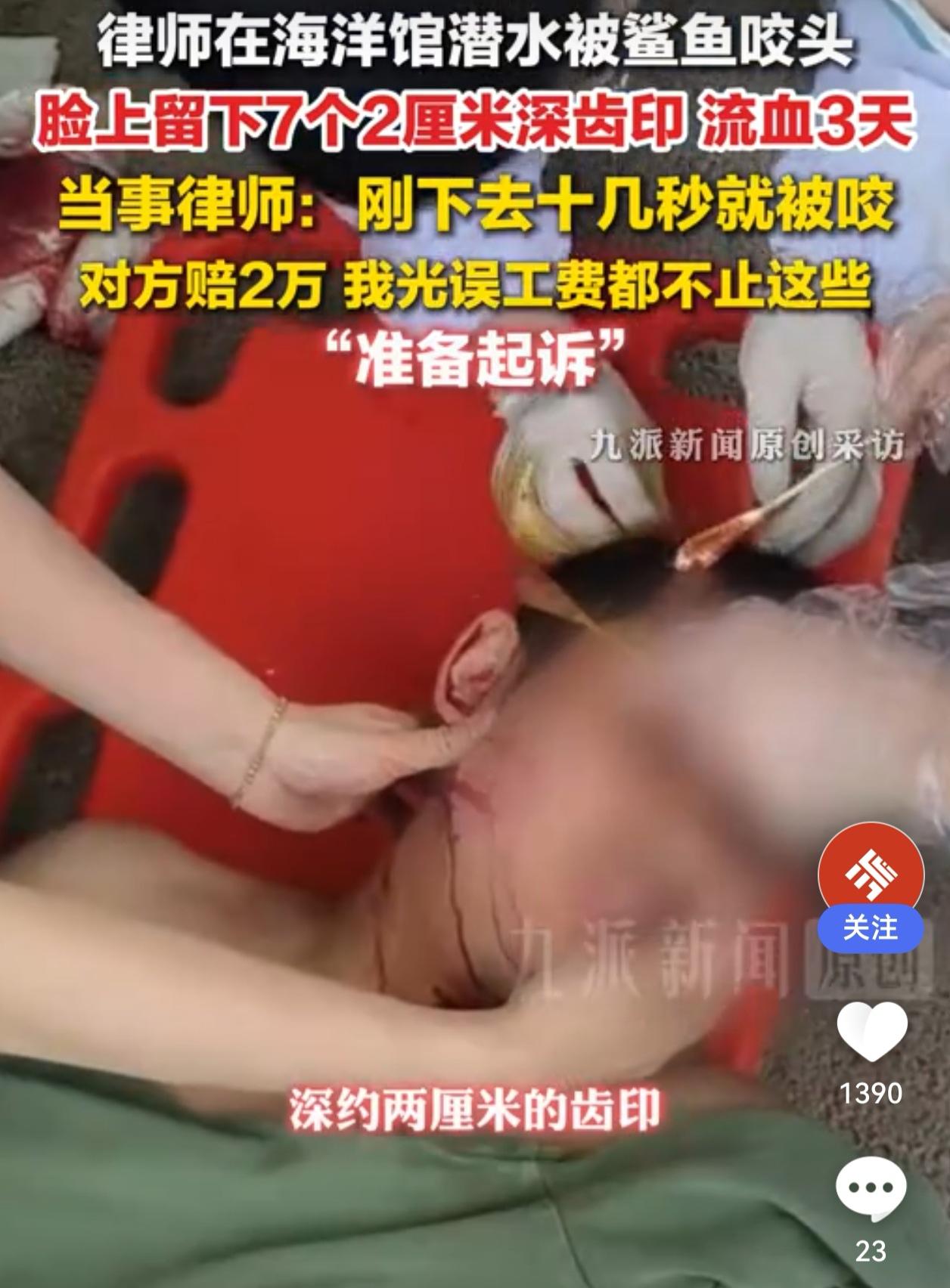 今天这条热搜，看得人头皮发麻，又有点哭笑不得——一名律师去海洋王国潜水，下水才十