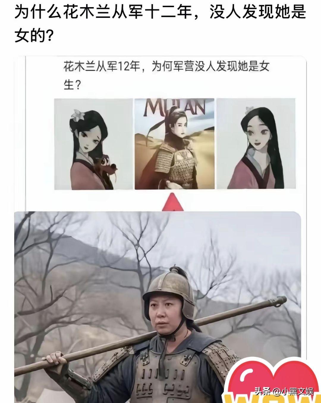 你这么一说全明白了！
