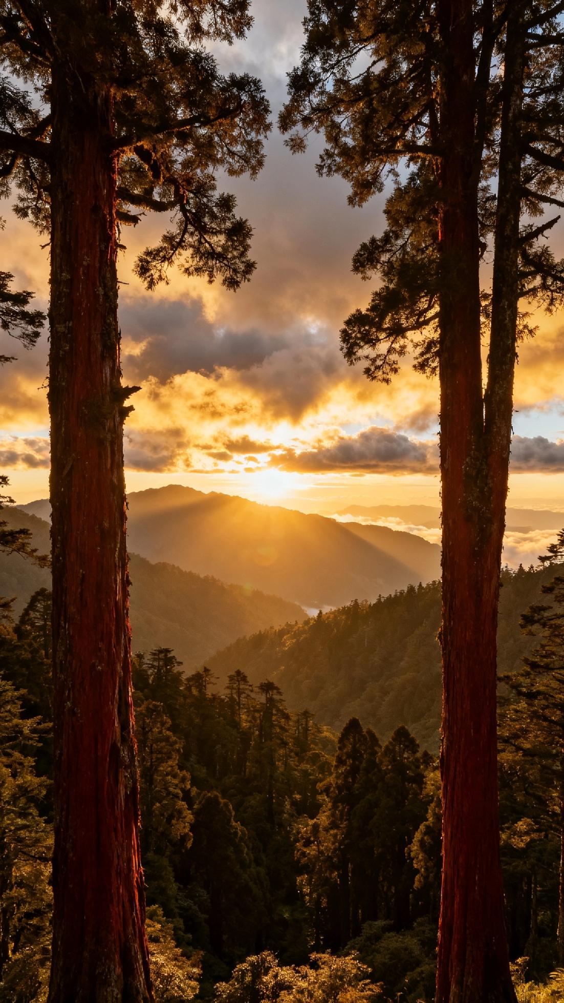 两岸统一“突破点”已现！三大不可逆趋势，台湾回家进入倒计时
 
两岸统一“突破点