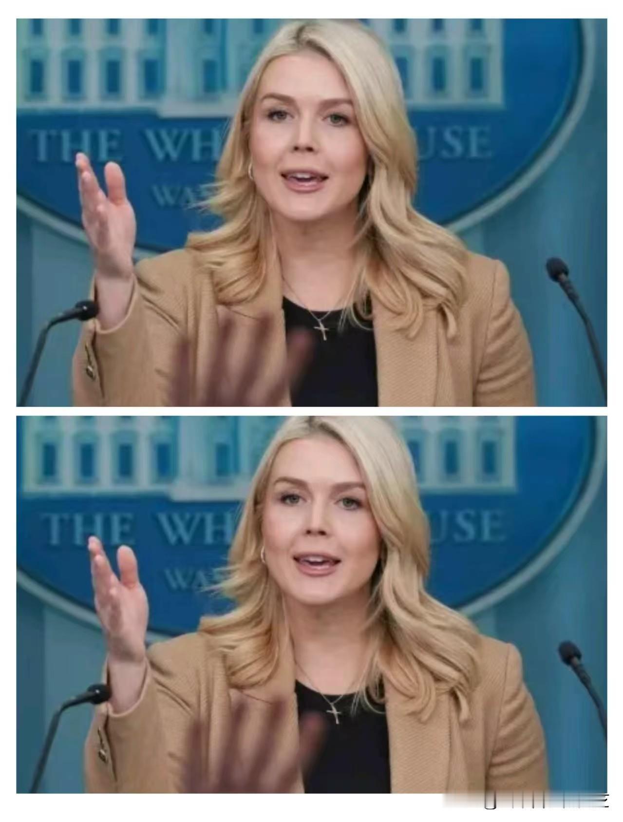 今天凌晨，白宫发言人卡罗琳确认：“‘和平委员会’已经正式成立，我们向全球约60个