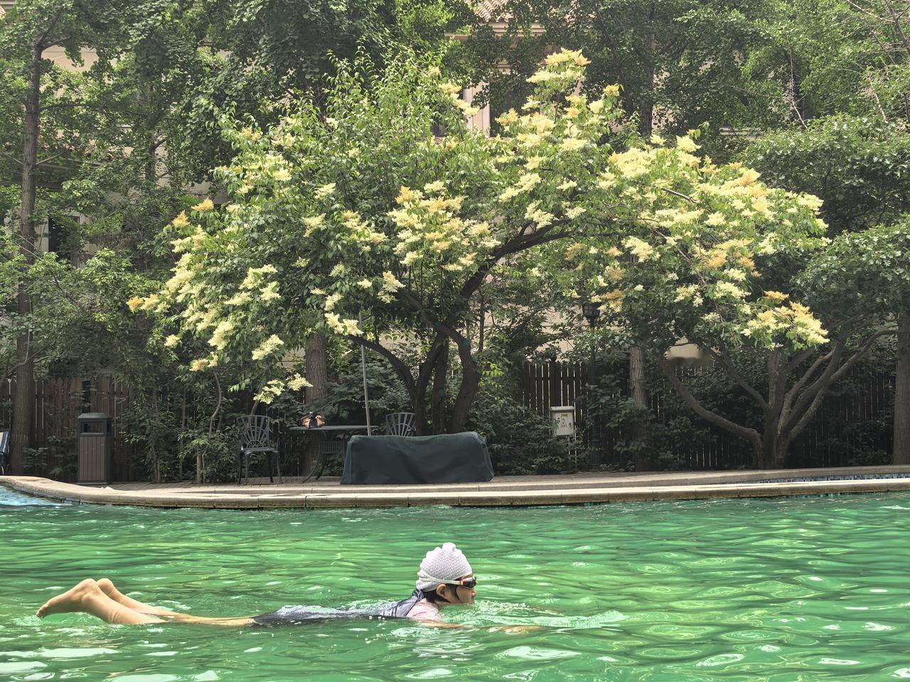 晒图笔记大赛夏天来了
