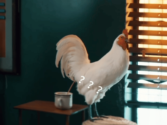 枭起青壤 咖啡鸡哈哈哈哈，笑丝了，果然上烫搜了，刚才看的时候说喝鸡屎咖啡！