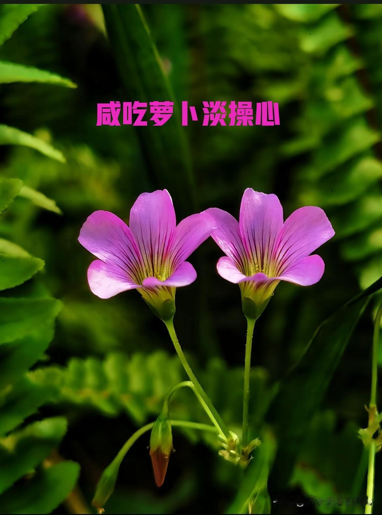 有病的人真不少啊！
昨天下午五点左右带着憨憨去老妈那边吃饭，路上遇到一个大姨，我