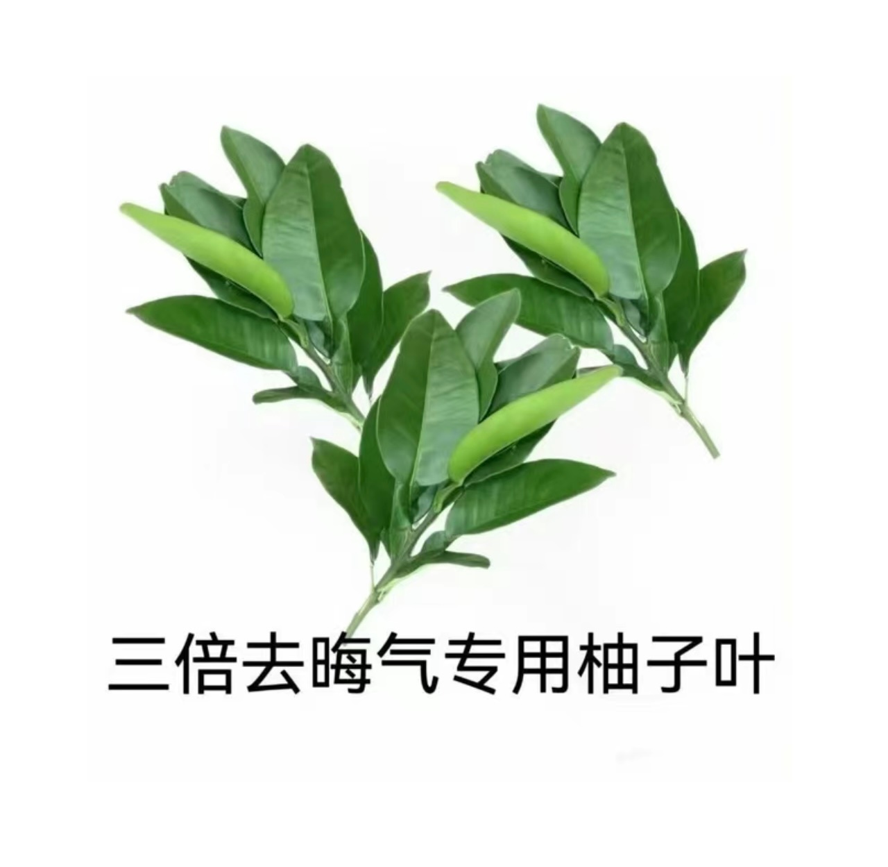 分享图片 