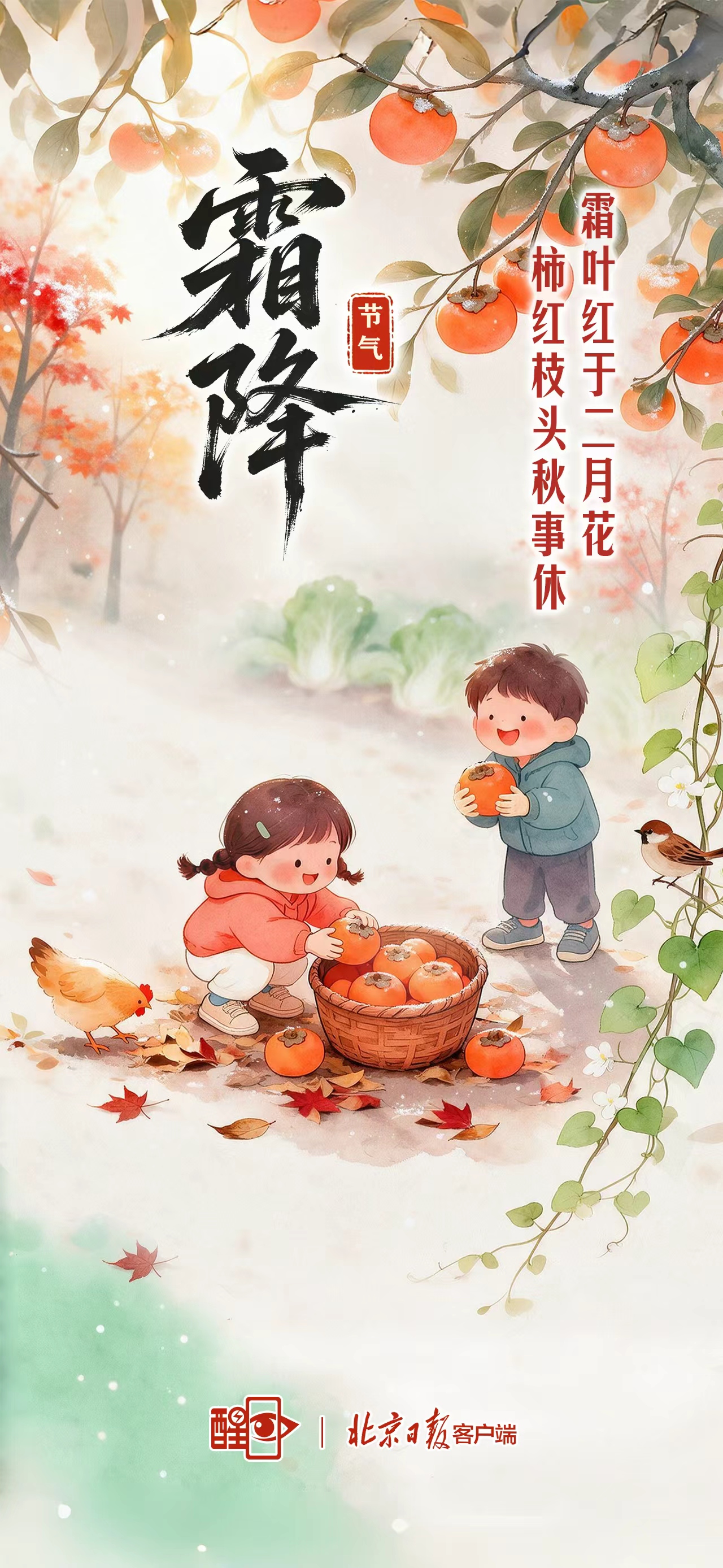 海报｜霜降：霜叶红于二月花，柿红枝头秋事休