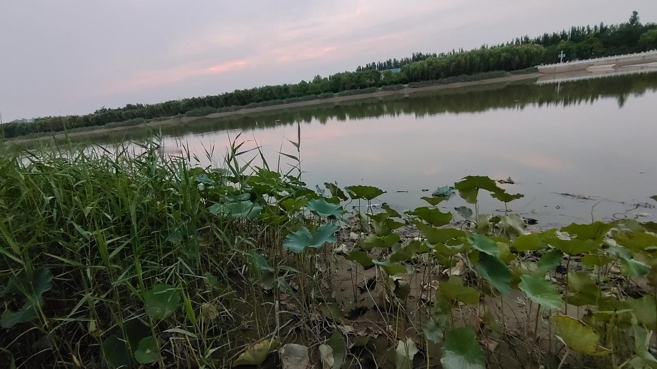 想想人的一生真是短暂，能快乐生活的时光更少。
小孩子时会被夸“这孩子长得真可爱。