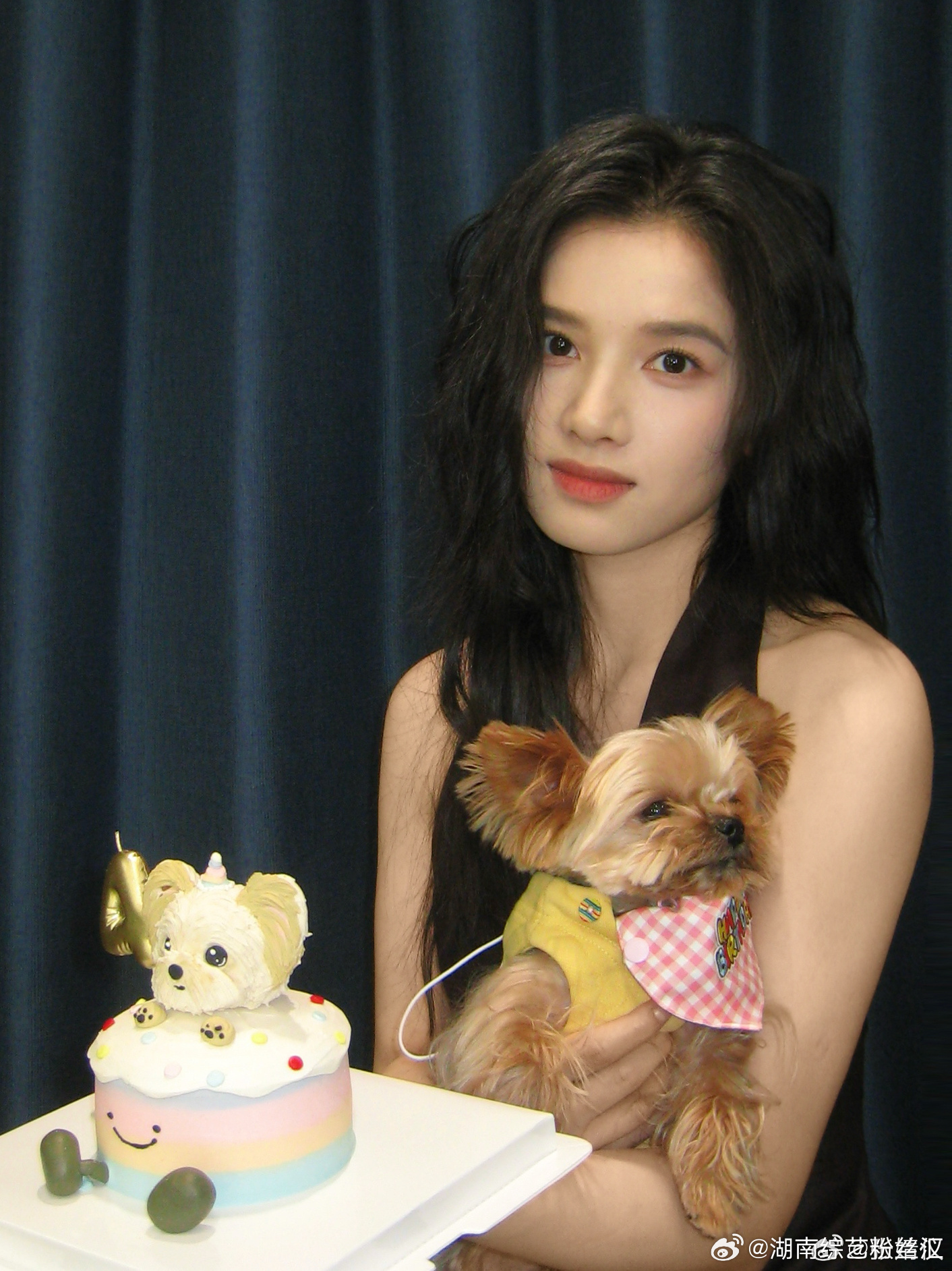 张婧仪 张婧仪将参加4月9号你好星期六