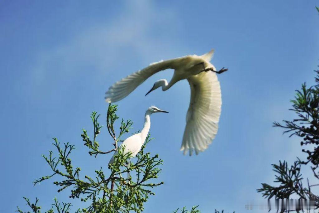 宁德时代重要股东大手笔减持… 