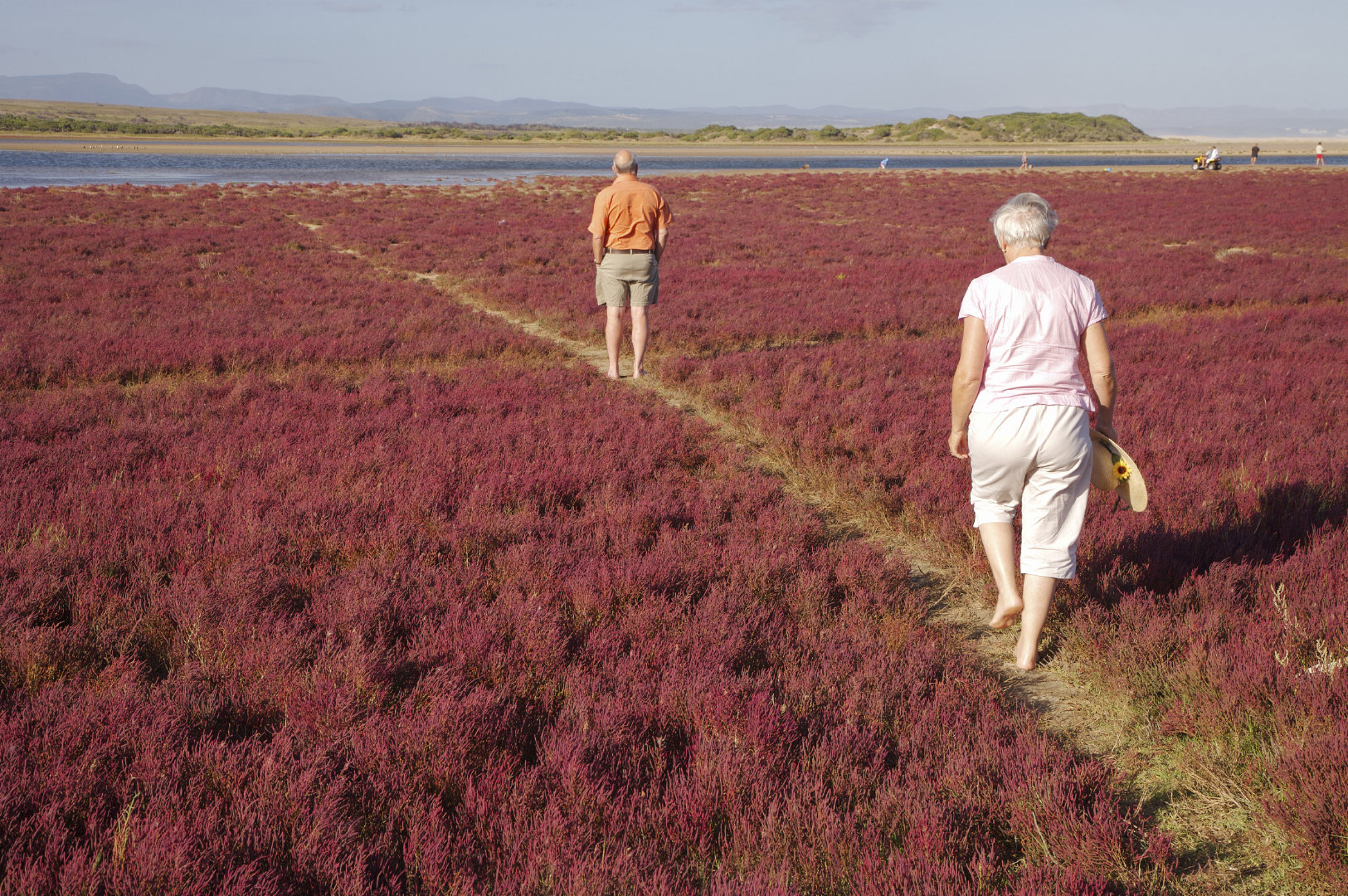 正是通过存在来超越生命，人类才保证生命的重复再现：通过这种超越，人类创造了价值，