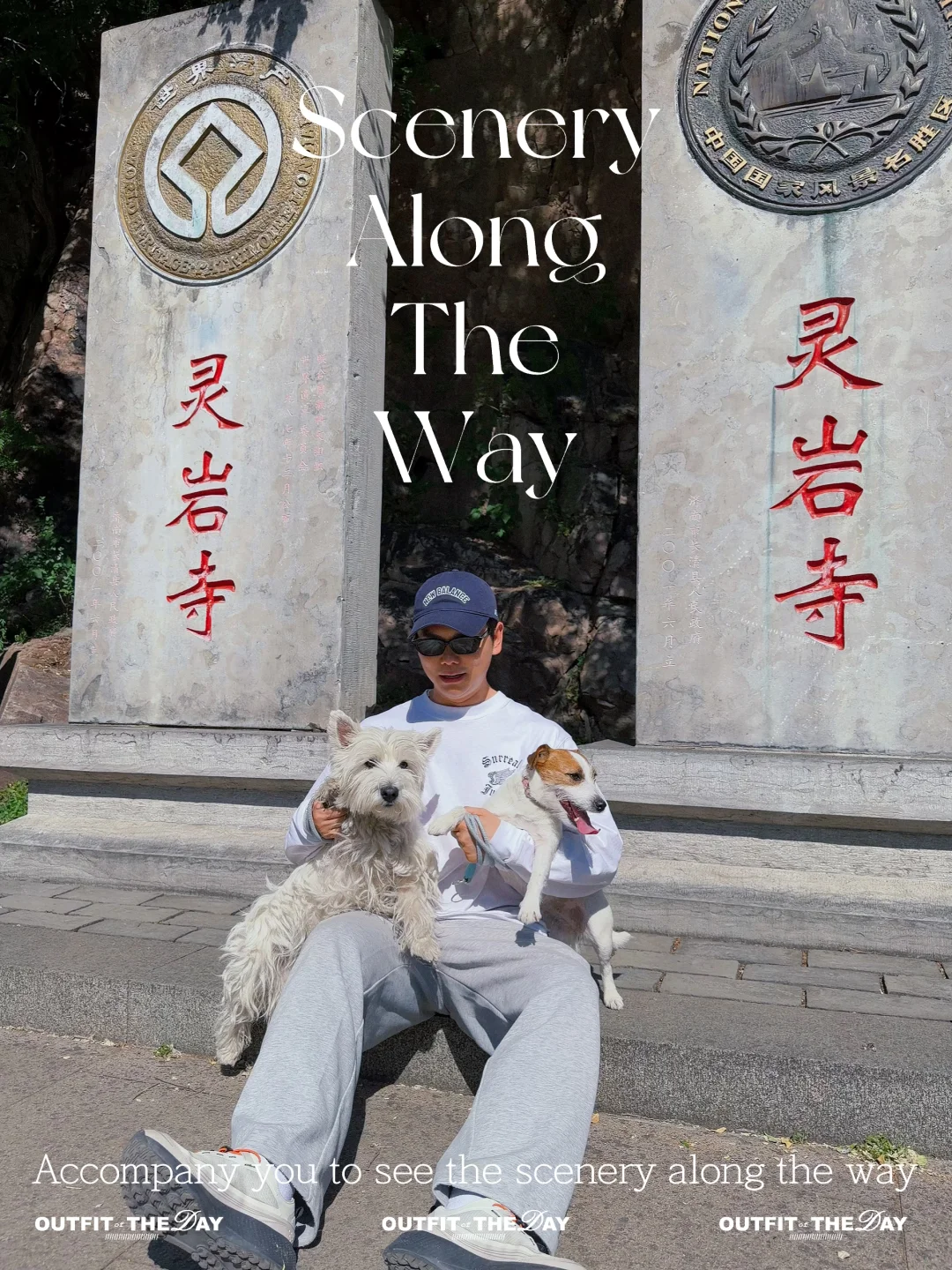 单方面宣布济南灵岩寺是宠物友好第☝️名刹