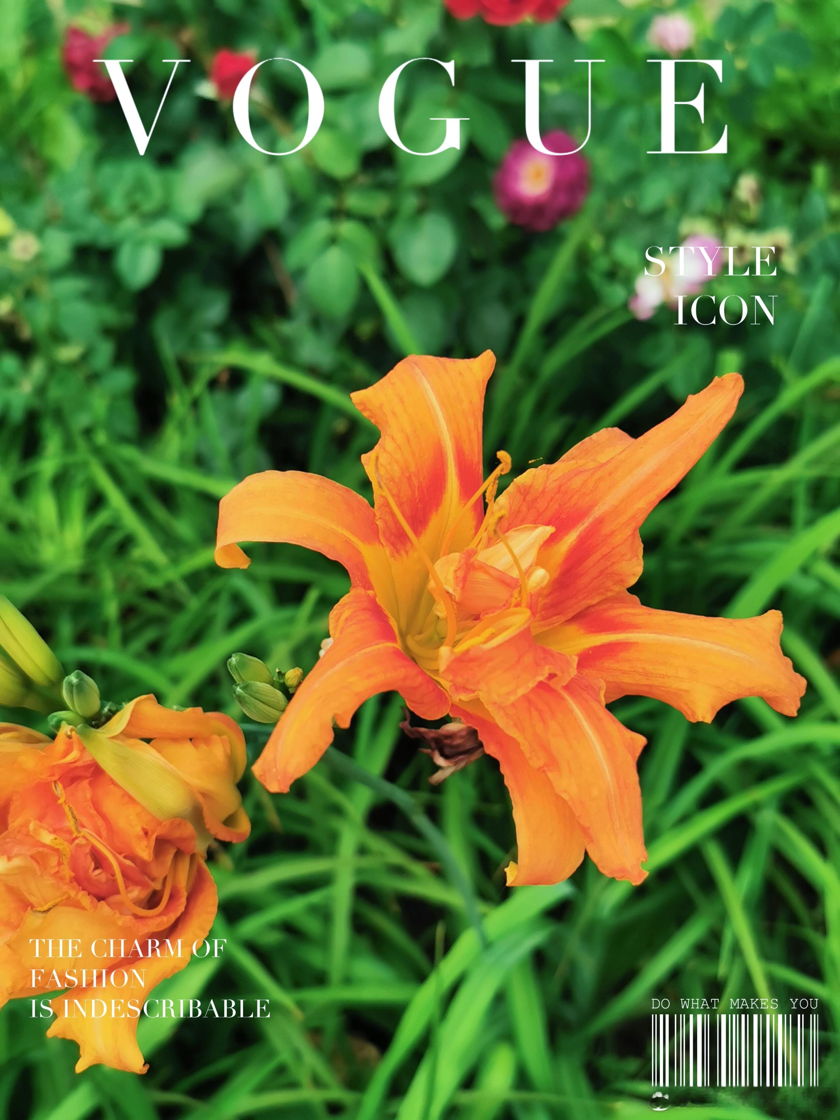 #早安# 这个世界上，没有捷径，捷径都是最远的路。早上好[鲜花][鲜花] ​​​