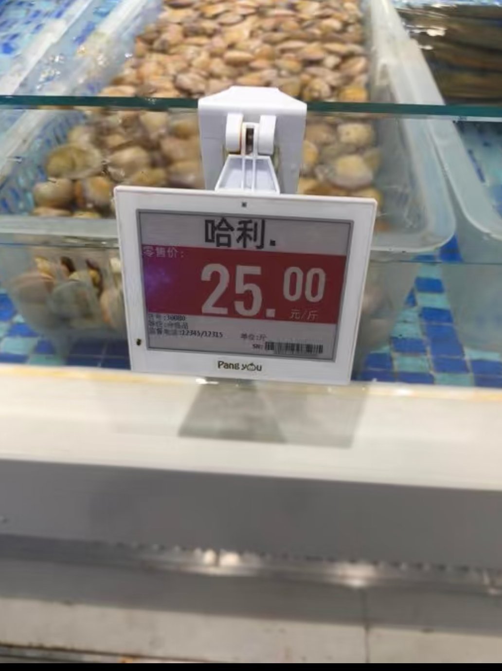6467哈利·詹姆·波特 