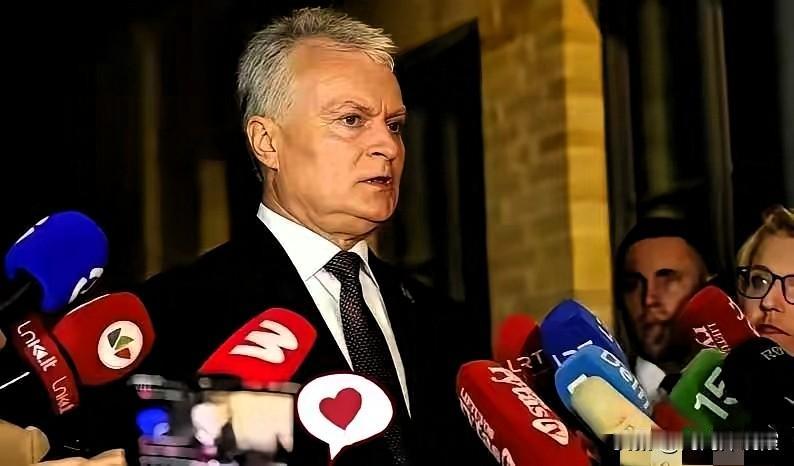 想不到英国、芬兰、加拿大相继访华后，立陶宛总统急了，要求中方先释放善意，让自己访