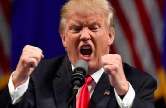 总统支持率100%？最新民调出炉，特朗普说漏嘴，原来真相是这样的

特朗普最近兴