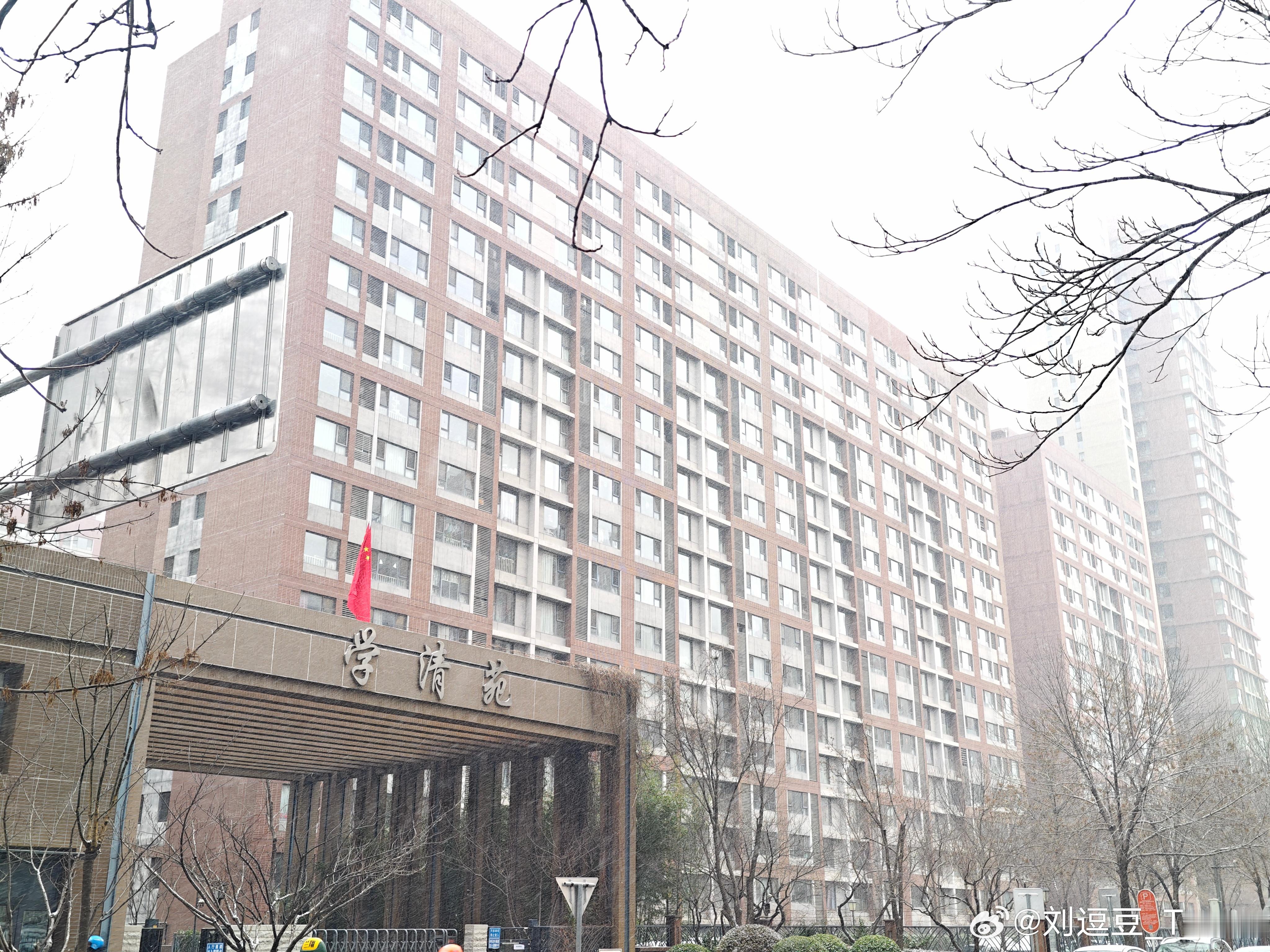 2025初雪摄影大赛张万森，下雪啦！！！！！ 