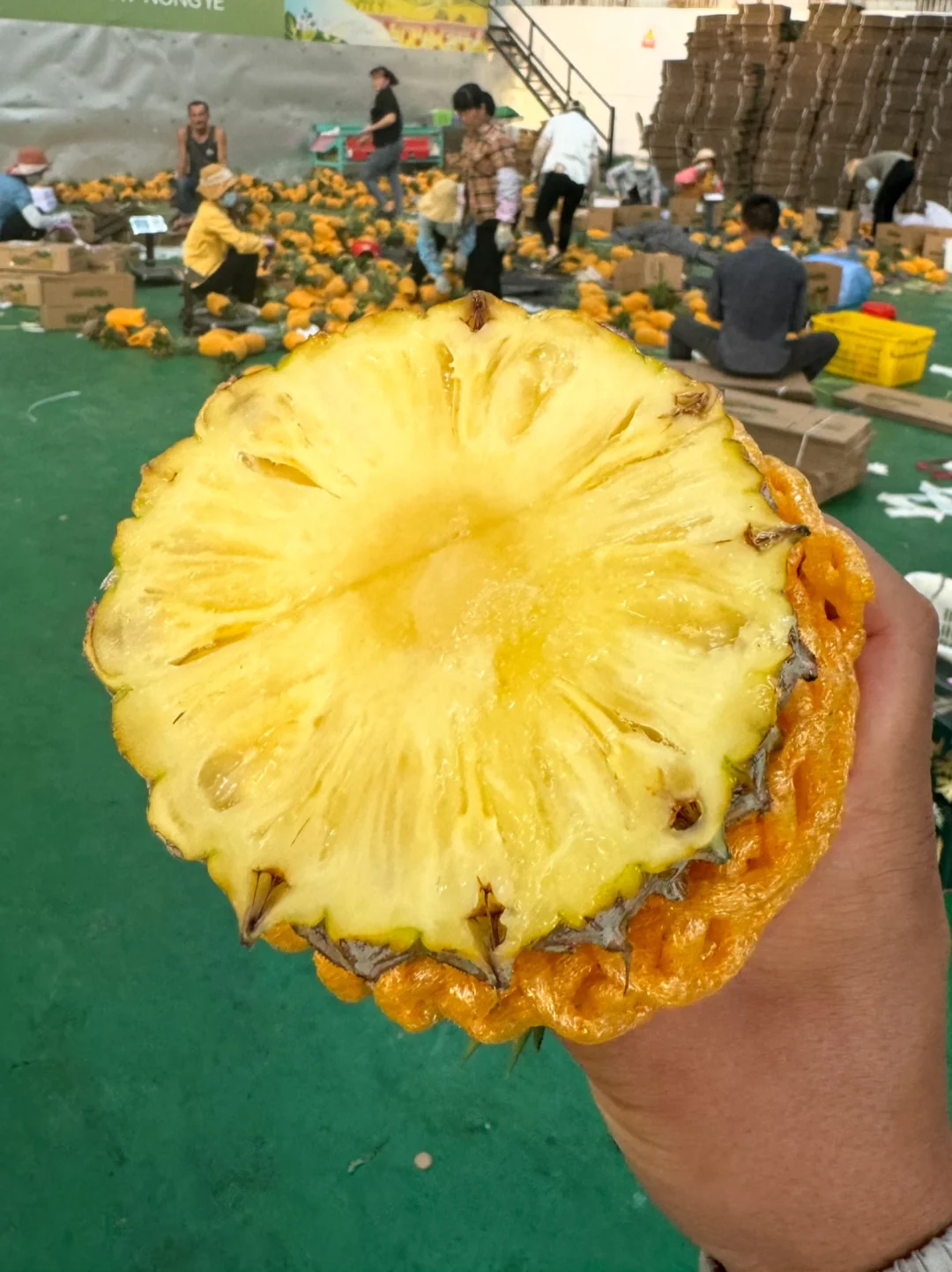 只收纸箱和快递费，看到的随缘吧！