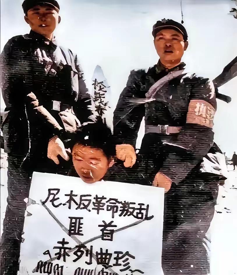 1970年，杀掉我工兵营22名战士的女匪首赤列曲珍即将被枪决，她听到这个消息后，