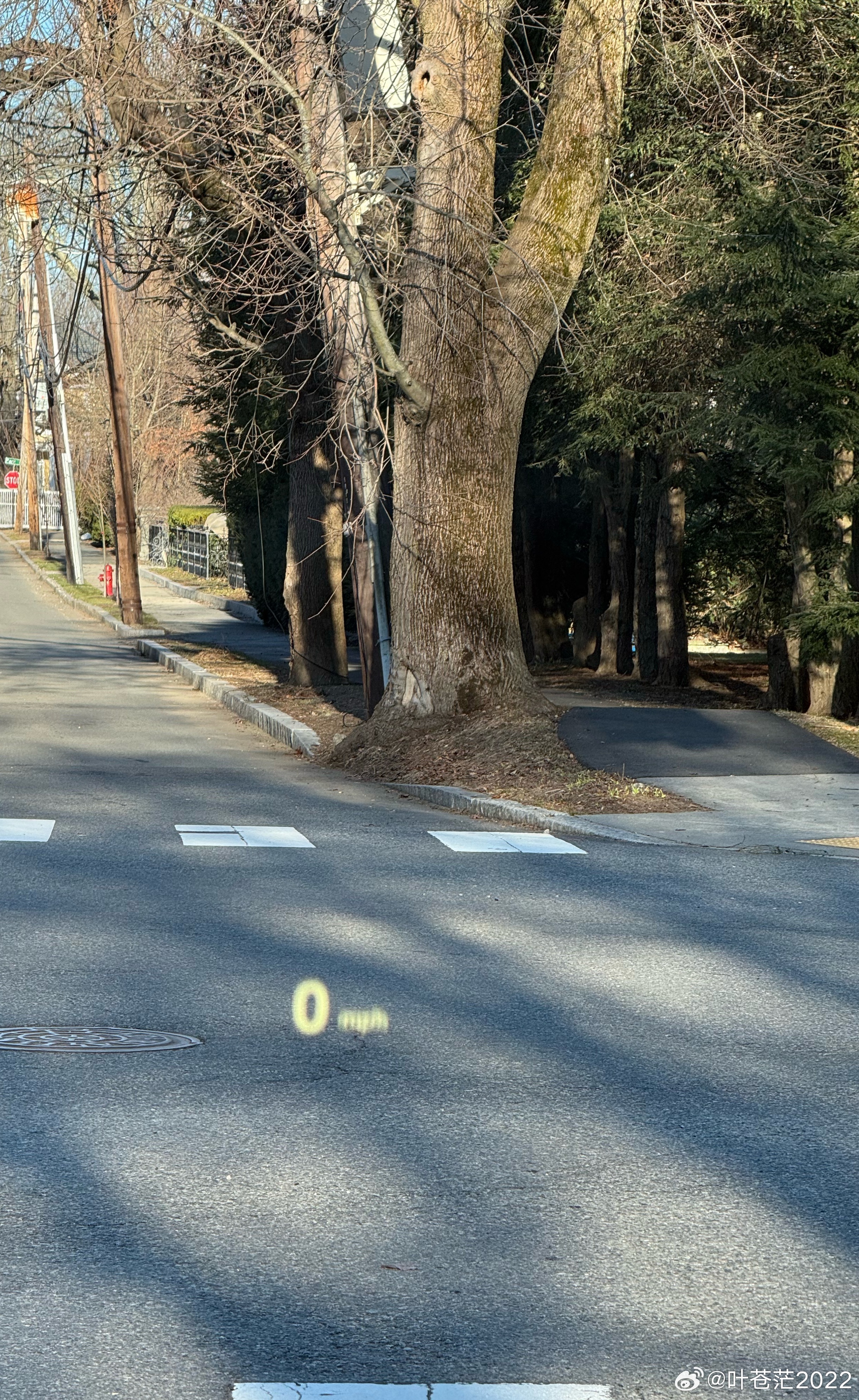 只穿了一件薄皮夹克出门，没想到这么冷。 