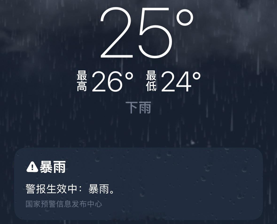 五月初一龙舟雨来袭