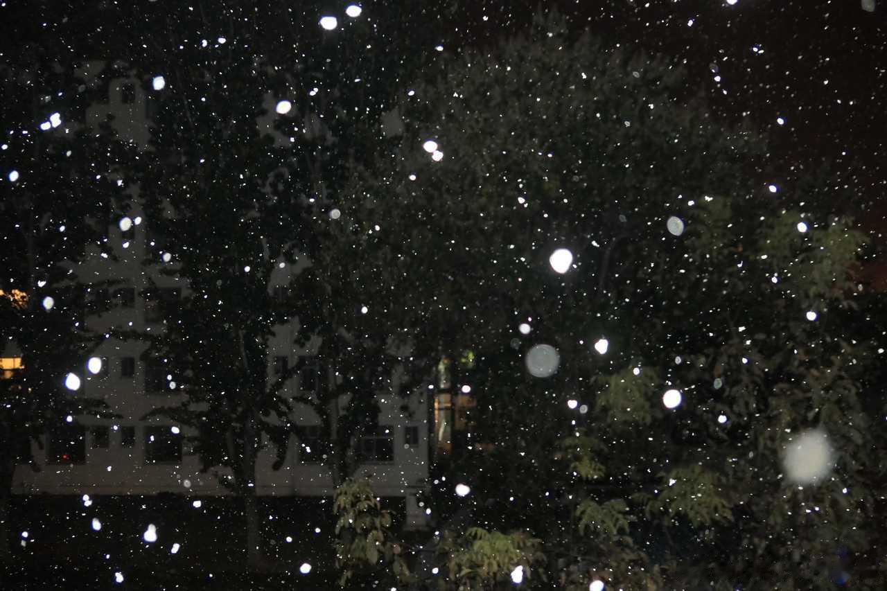 INFJ15738｜分享投喂bot一抹青山给大家分享沙东的初雪🌨❄️☃️大家冬