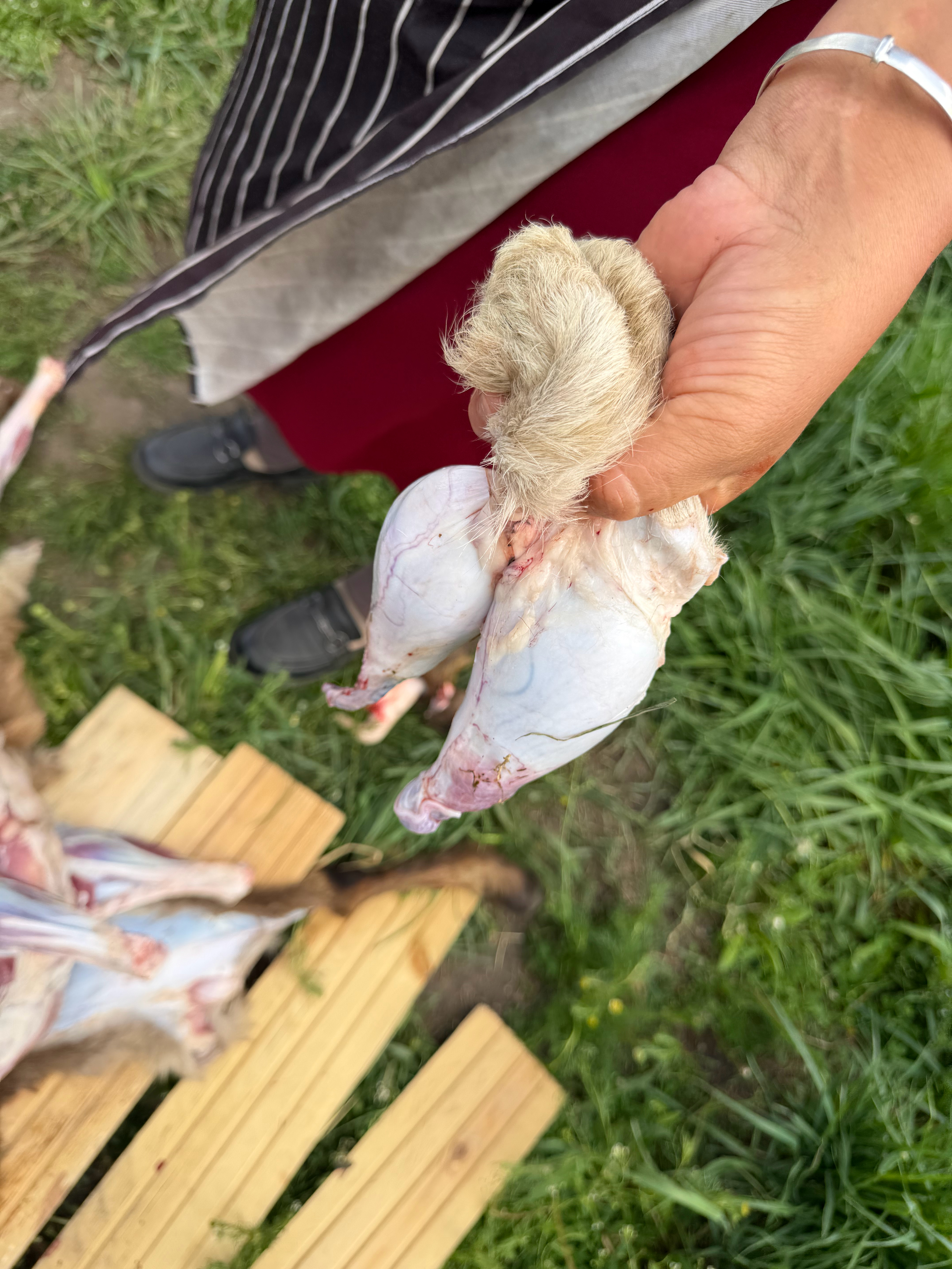 喝酒吃肉 人生几何！ 阿勒泰