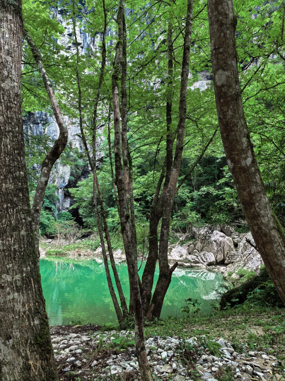 重庆周边透心凉徒步耍水钻洞｜利川古河床