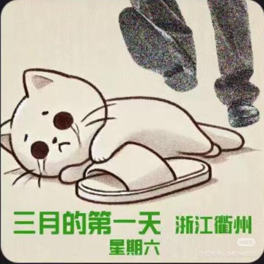 保护动物人人有责 爱护动物从我做起 反虐待动物 不要伤害小动物 请保护...