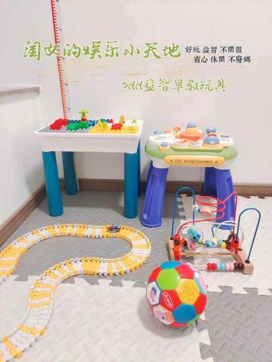 闺女的娱乐天地｜益智早教玩具