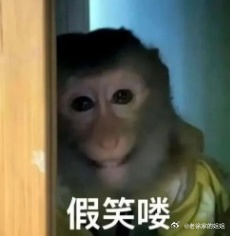 保险理赔真的是最最女干最最女干的行业。