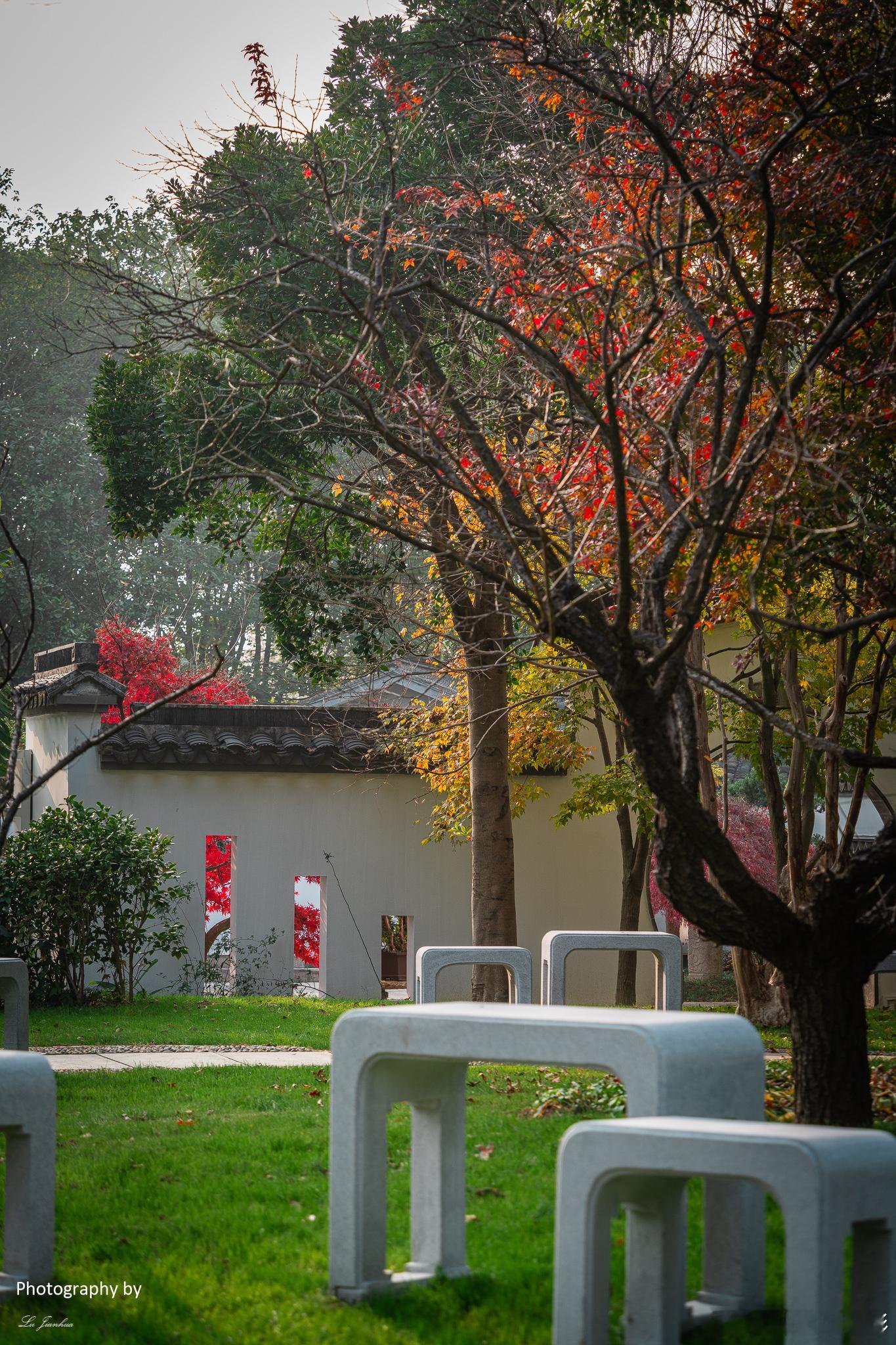 无锡梅园，独具中式园林的格调，江南水乡的韵味。 