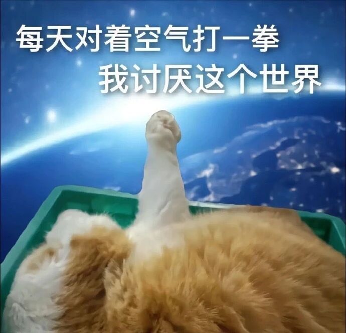 拔完智齿的我此刻想来一碗火鸡面的心达到顶点