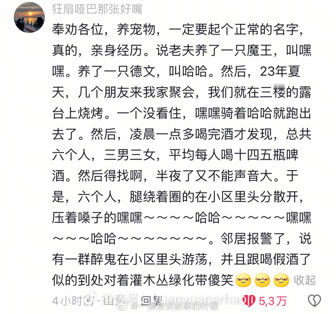 给宠物起名字要慎重，哈哈哈哈哈哈哈 