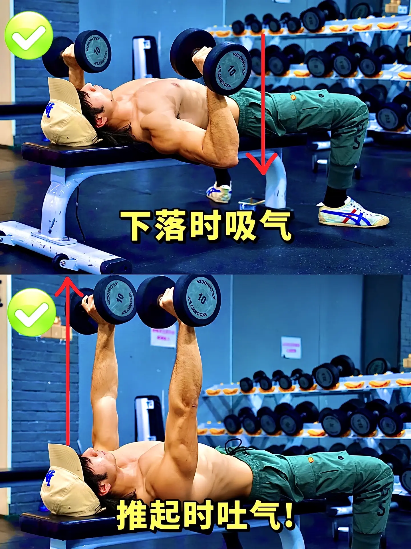 哑铃卧推全方位解析！哑铃卧推胸肌没感觉？反而肩酸手臂累？看看这些细节你...