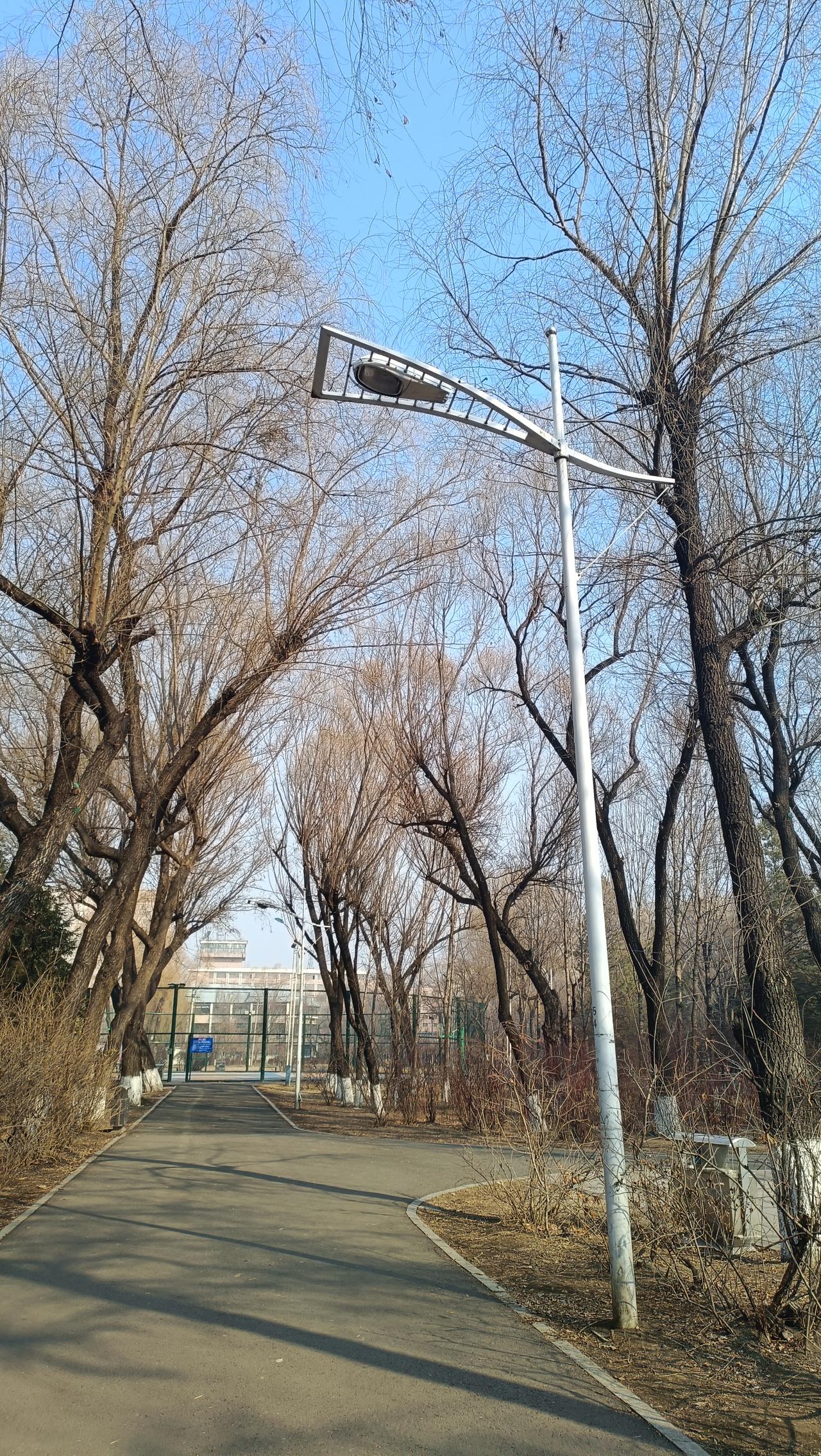 你们有没有遇到过，孩子不想出去玩的时候？
一次两次没关系，但如果次数多了，就得看