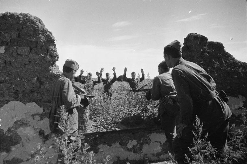 1942 年 6 月 6 日，库尔斯克州叶夫罗西莫夫卡村，苏联第 40 集团军第