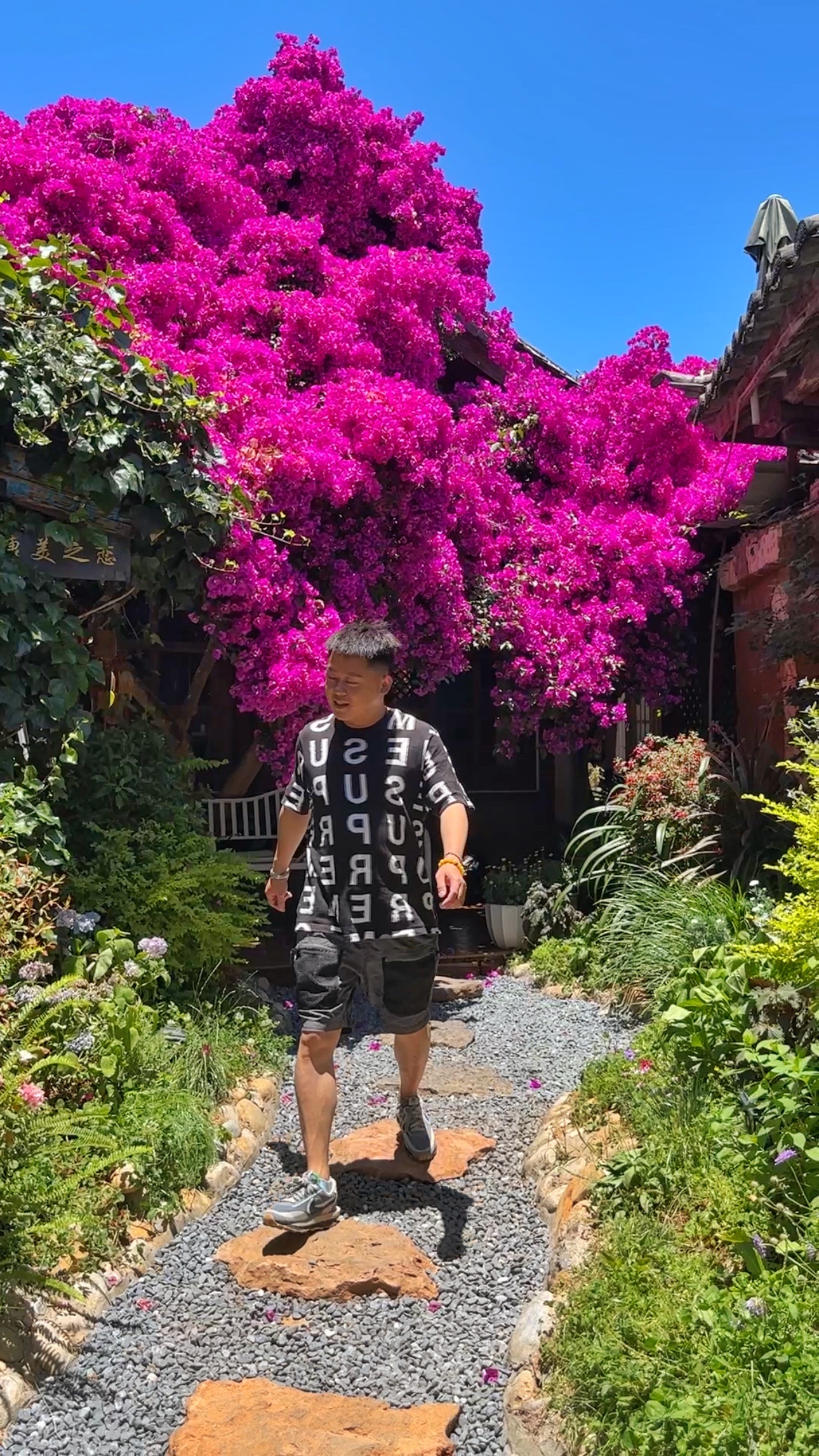 #丽江[超话]# 四川人告诉你丽江应该怎么玩！我是整个云南基本都走了个遍，云南各