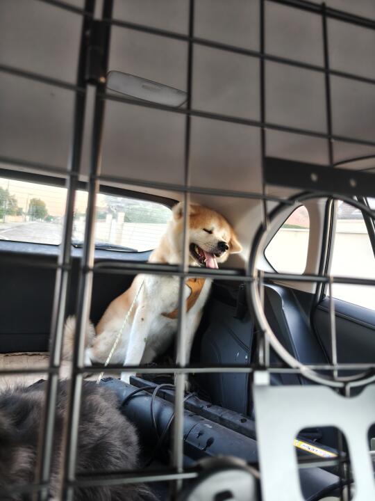 铁窗泪