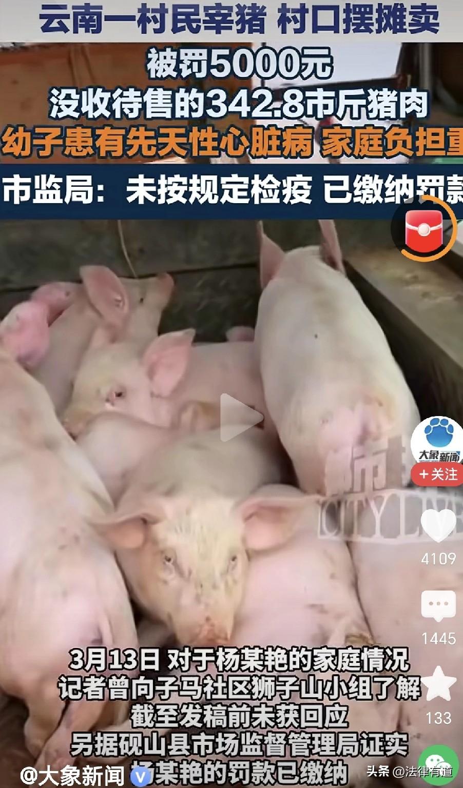 当5000元罚款压垮一个家庭，一场宰猪罚单背后的法理与人情：48岁的村民杨某艳，