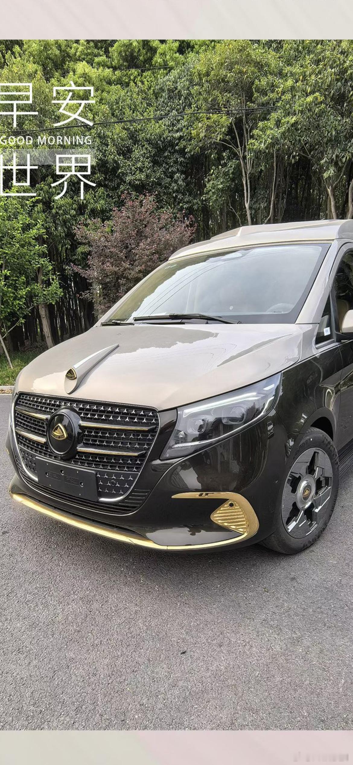 非常时尚的奔驰高级定制商用车