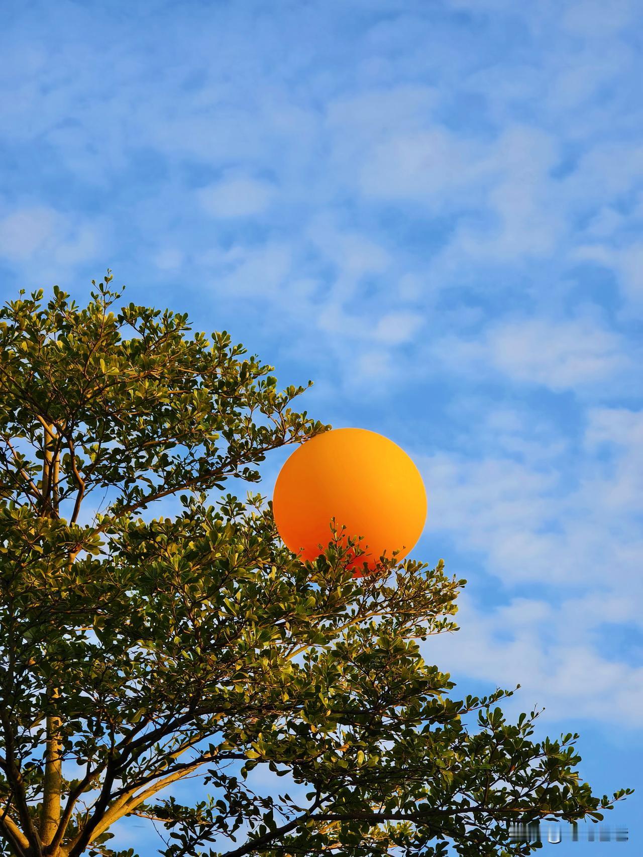 这样到底算不算爱孩子？孩子生病了我会很担心很心疼，高烧的时候整晚不敢睡，给他物理