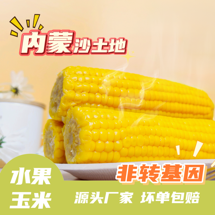 🌽内蒙古沙土地水果玉米 3小时鲜制｜开袋即食 稍微加热一下口感更棒！【开袋即食