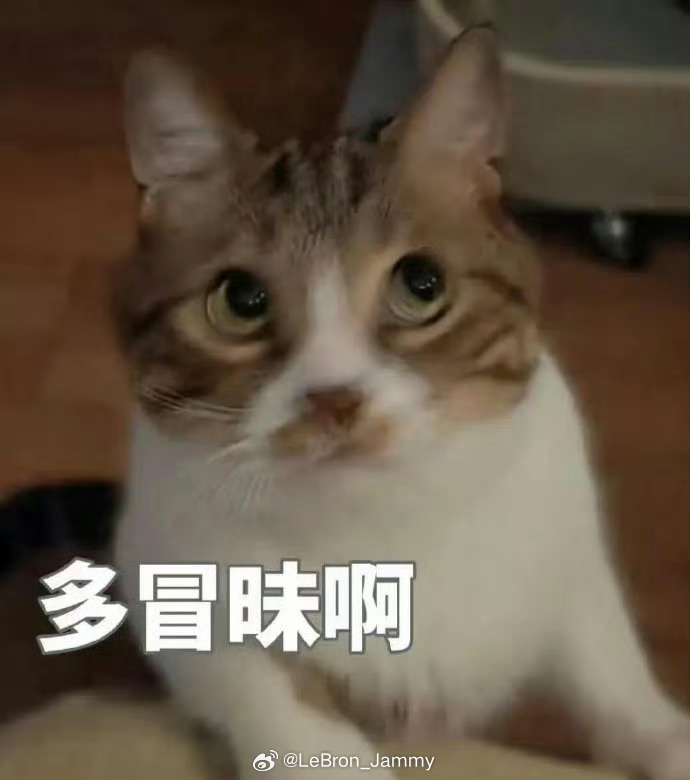 以后跟森林狼打比赛，千万别让詹姆斯上场