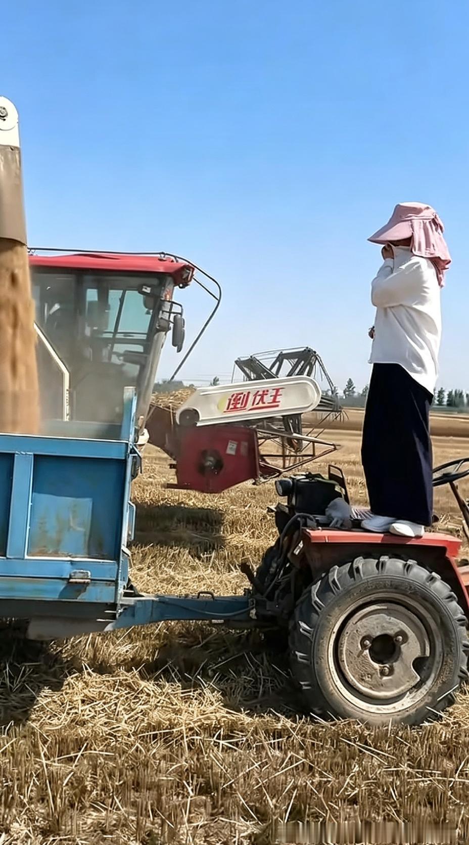 从秦朝到如今，
麦子不过熟了两千两百多次。
新中国成立至今77年，改革开放也才4