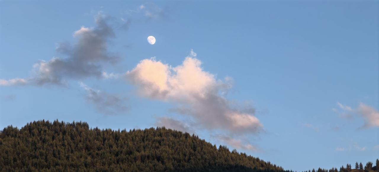你支持泰山景区安装防护网吗太不应该，极不仁性，对泰山山体，动，植物极大伤害，后患