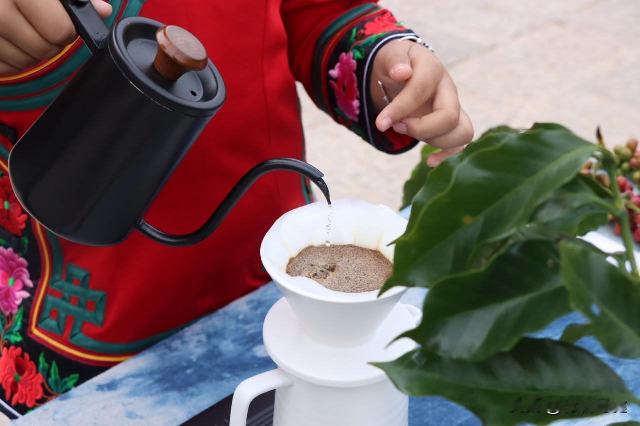 普洱咖啡：从山间到舌尖的“黄金逆袭”

在咖啡成为生活“刚需”的当下，云南咖啡杀