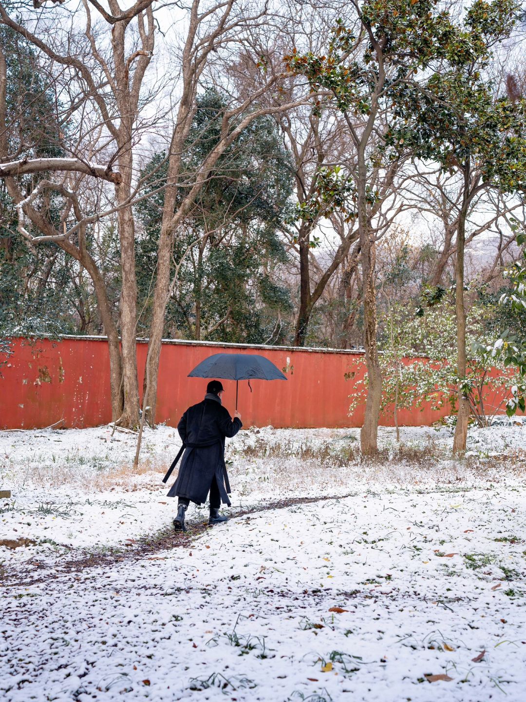 拍到了‼️初雪后的明孝陵太美了❄️12.16实拍