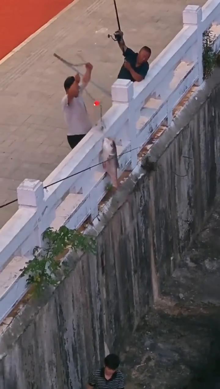 哦哦哦。