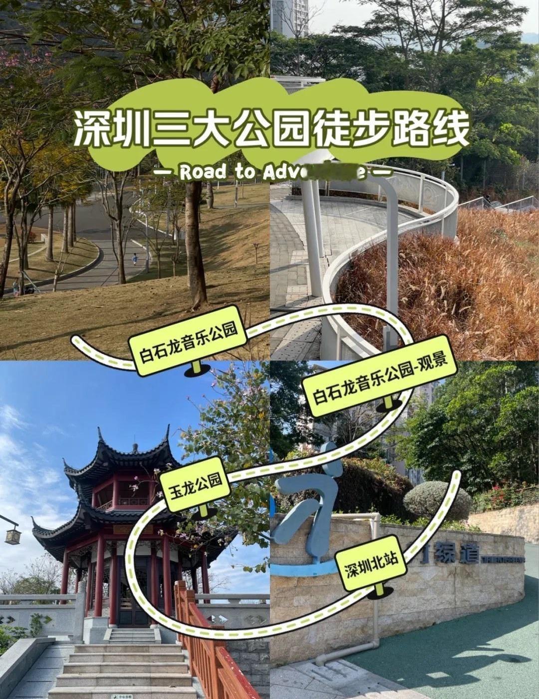 宝子们好呀！今天给大家分享一条超绝的【绿色徒步路线】，全程不走回头路，轻松又好玩