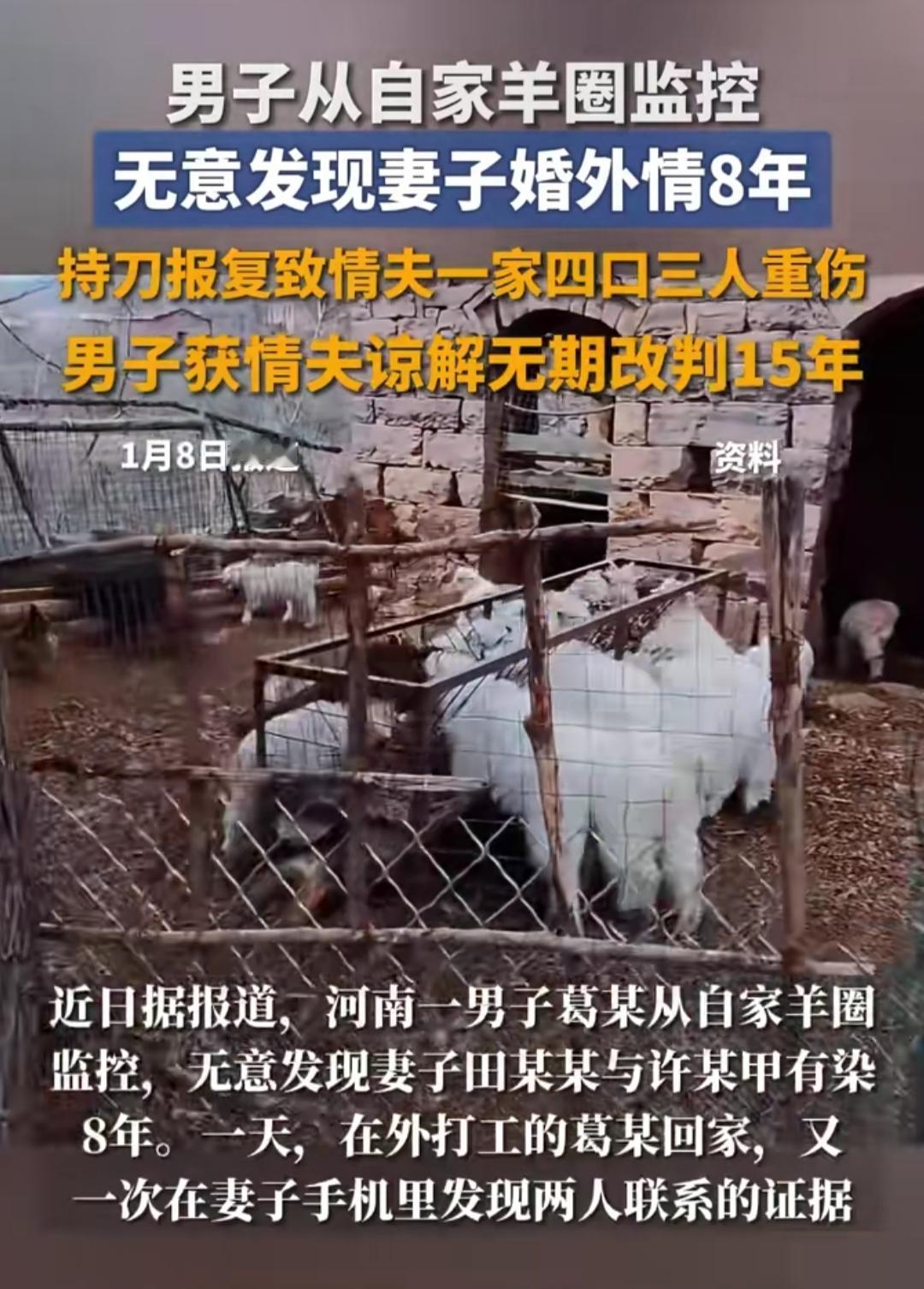 谁能想到，自家羊圈的监控，竟成了戳穿婚姻谎言的利刃？常年在外打工养家的葛先生，怎