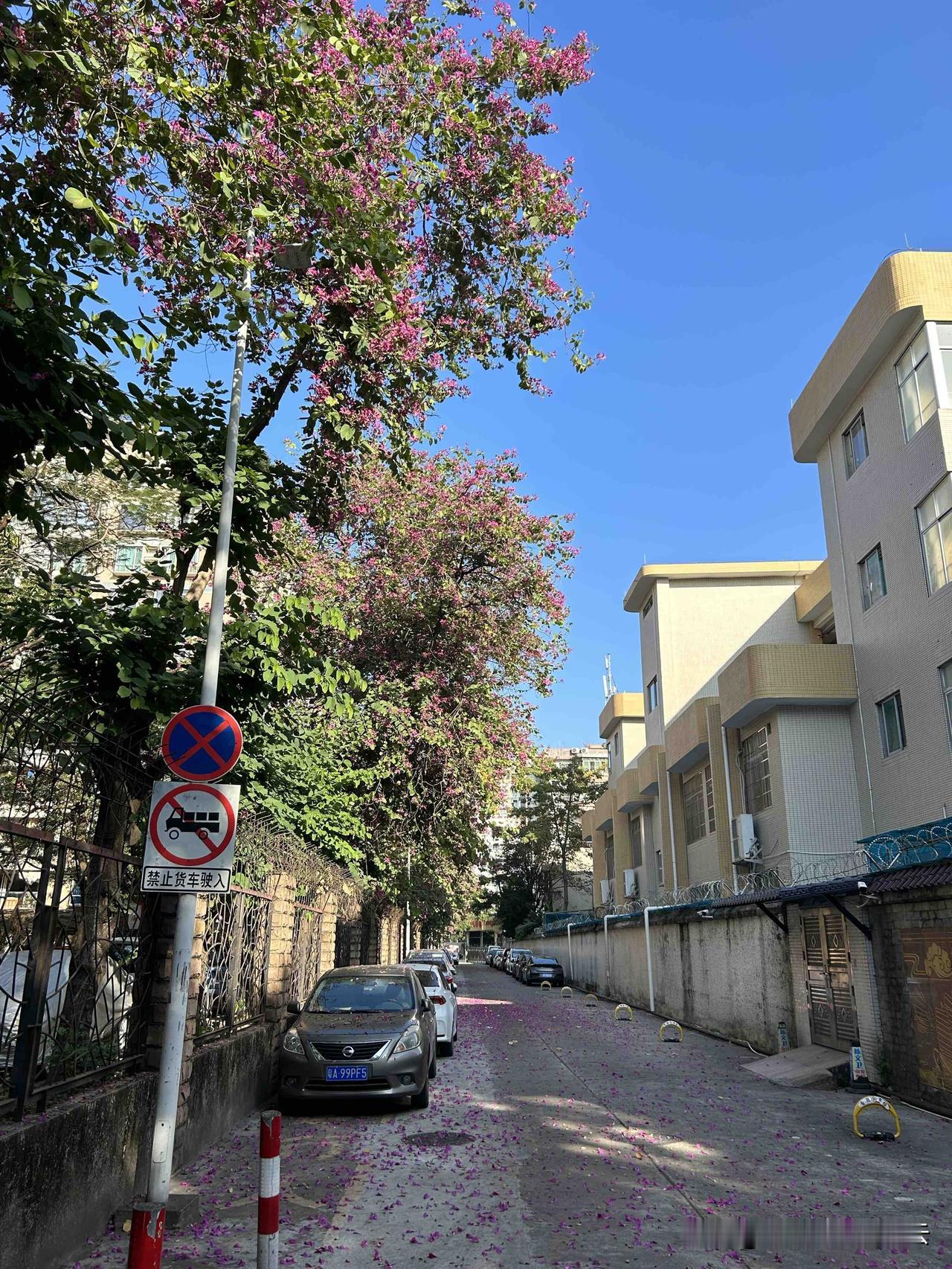 一个人从来都不是被另外一个人教育出来的，

人的能力不够，也没有办法改变任何一个